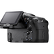 Illustration for article titled Sony Alpha A77: The 24-Megapixel Shooter Is Finally Real